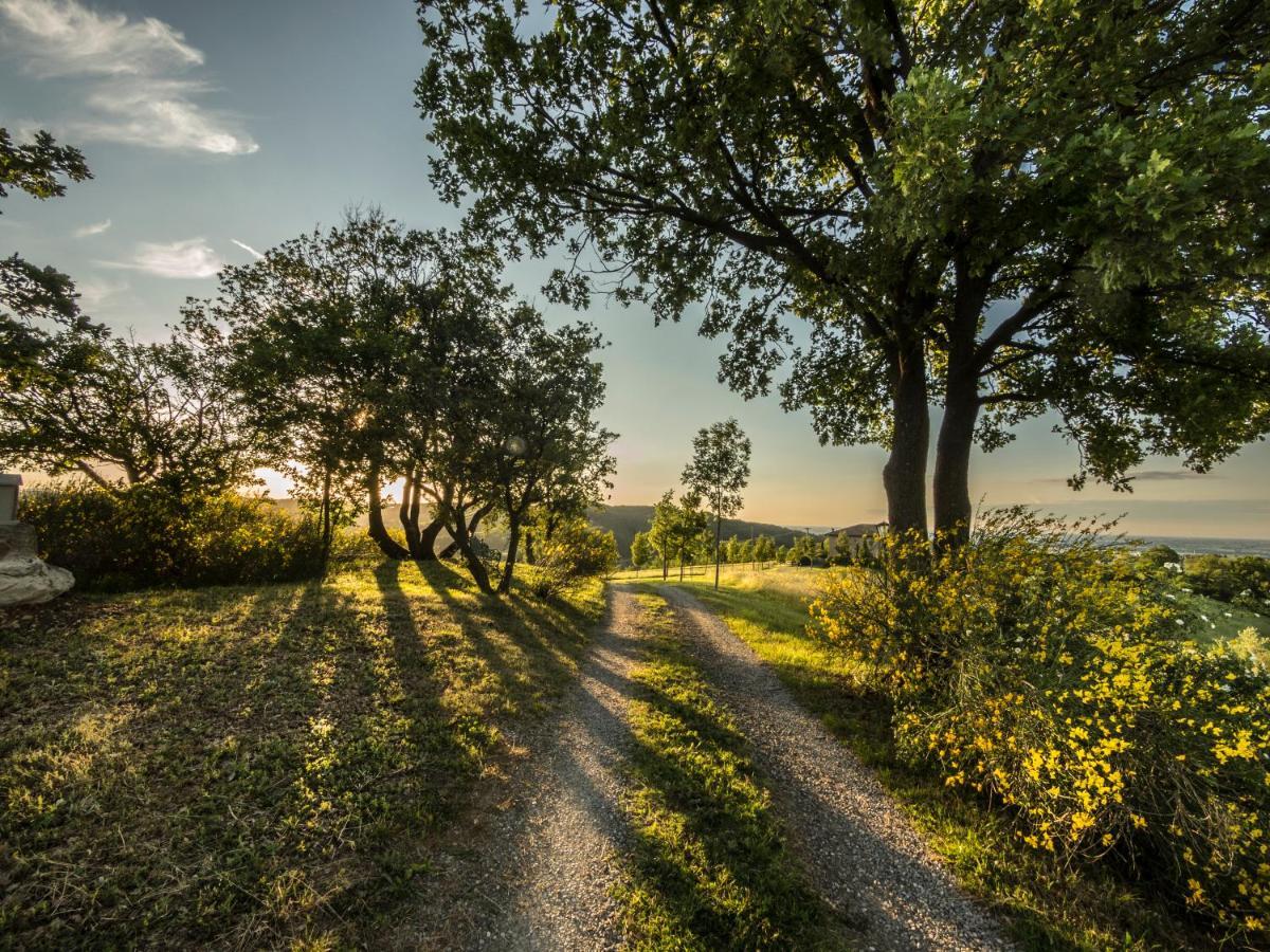 Parco Di Montebello Quattro Castella المظهر الخارجي الصورة